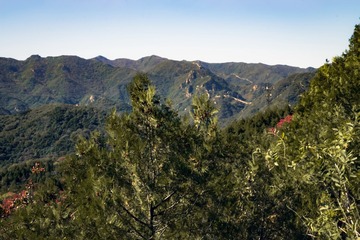 北京八达岭森林公园（15）2024-10-10 e