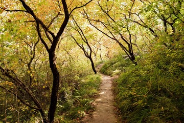 北京坡峰岭（34）2024-10-21 e