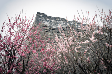 北京明城墙遗址公园（8）2026-03-17 e