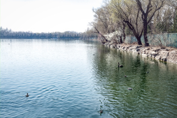 颐和园西堤（7）2026-03-20 d