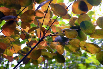 北京坡峰岭（16）2025-10-25 a