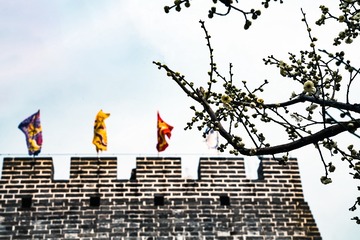 北京明城墙遗址公园（7）2025-3-13 d