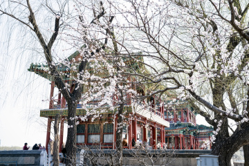 颐和园西堤（17）2026-03-20 f