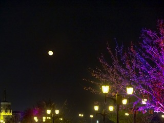 05430