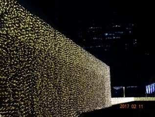 6006