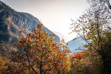 北京坡峰岭（17）2024-10-21 e