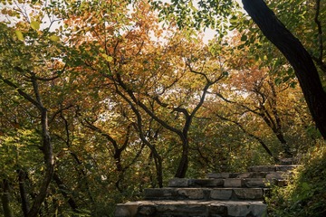北京坡峰岭（33）2024-10-21 e