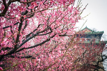 北京明城墙遗址公园（4）2025-3-13 f
