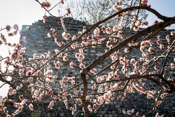 北京明城墙遗址公园（6）2024-3-22 d