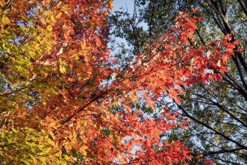 北宫森林公园（16）2025-10-20 f