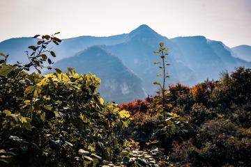 北京坡峰岭（14）2024-10-21 e