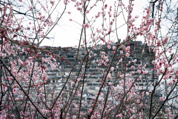 北京明城墙遗址公园（9）2026-03-17 e