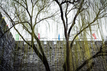 北京明城墙遗址公园（18）2026-03-17 d