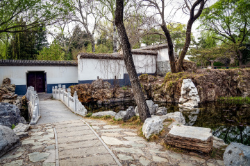 北京陶然亭公园海棠花（8）2026-04-02 e