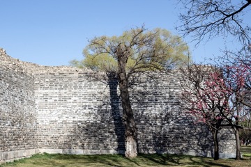北京明城墙遗址公园（7）2024-3-22 f