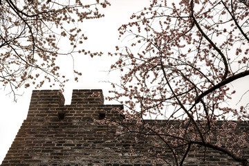 北京明城墙遗址公园（13）2025-3-13 a