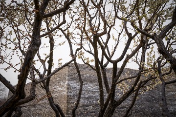 北京明城墙遗址公园（9）2025-3-13 e