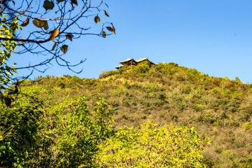 北宫森岭公园（12）2024-10-19 c