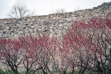 北京明城墙遗址公园（14）2025-3-13 a