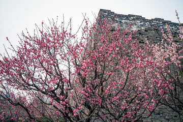 北京明城墙遗址公园（8）2026-03-17 f