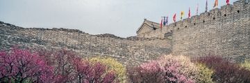 北京明城墙遗址公园（7）2025-3-13 e
