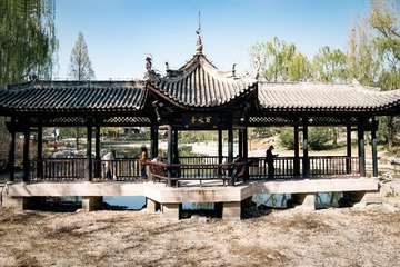 陶然亭公园海棠花（10）2025-4-2 e