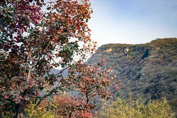 北京坡峰岭（9）2024-10-21 f