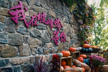 北京坡峰岭（5）2024-10-21 b