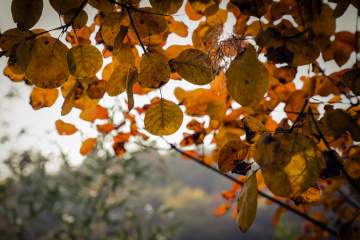 北京坡峰岭（16）2025-10-25 e
