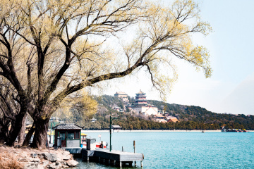 颐和园西堤（8）2026-03-20 a