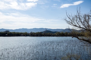 颐和园西堤（14）2025-3-19 a