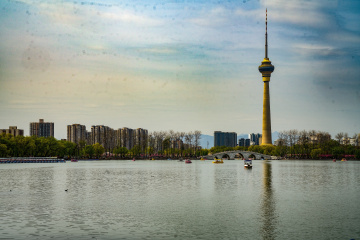 玉渊潭公园樱花（4）2026-03-30 f