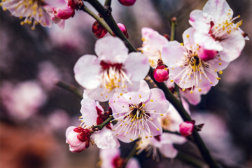 北京明城墙遗址公园（6）2026-03-17 f