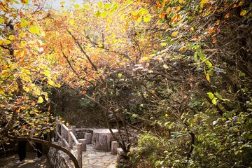 北京坡峰岭（21）2024-10-21 f