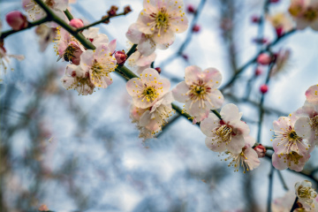 北京明城墙遗址公园（7）2026-03-17 d