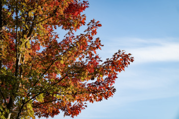 北宫森林公园（17）2025-10-20 c