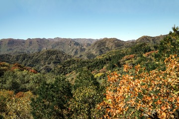 北京八达岭森林公园（18）2024-10-10 f