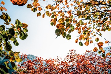 北京坡峰岭（18）2024-10-21 e
