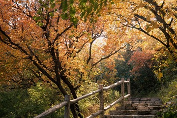 北京坡峰岭（32）2024-10-21 d
