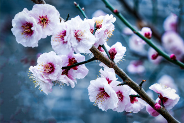 北京明城墙遗址公园（9）2026-03-17 b