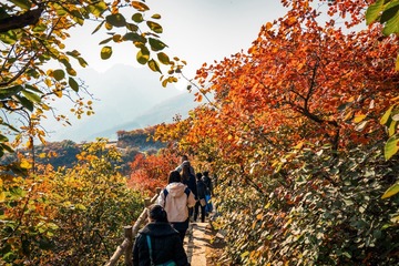 北京坡峰岭（35）2024-10-21 e