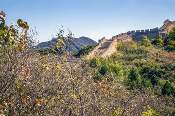 北京八达岭森林公园（23）2024-10-10 a