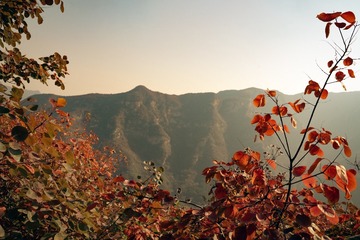 北京坡峰岭（35）2024-10-21 d