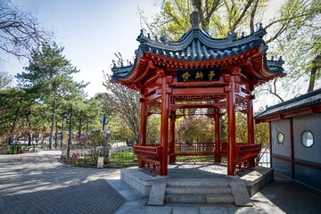 陶然亭公园海棠花（5）2025-4-2 d