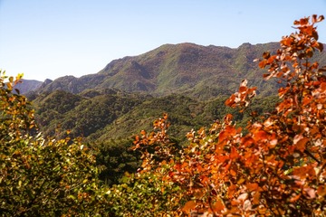 北京八达岭森林公园（20）2024-10-10 f