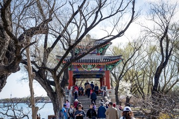 颐和园西堤（4）2025-3-19 b