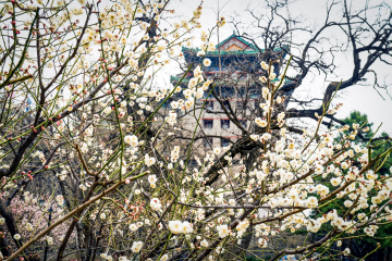 北京明城墙遗址公园（18）2026-03-17 f