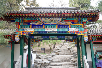 北京陶然亭公园海棠花(13)2026-04-02 d