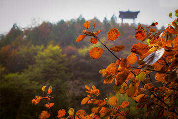 北京坡峰岭（17）2025-10-25 a