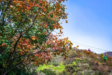 北京坡峰岭（13）2024-10-21 e